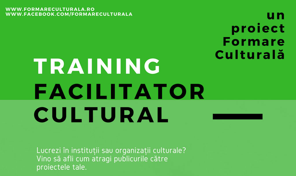 Facilitator cultural